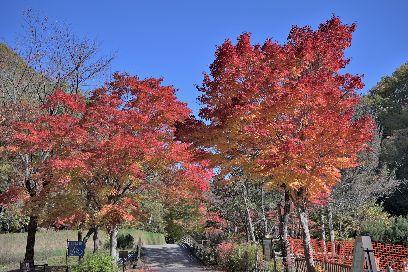 すずらん公園　渓流ゾーン　焼肉ガーデンあしりべつ隣の紅葉